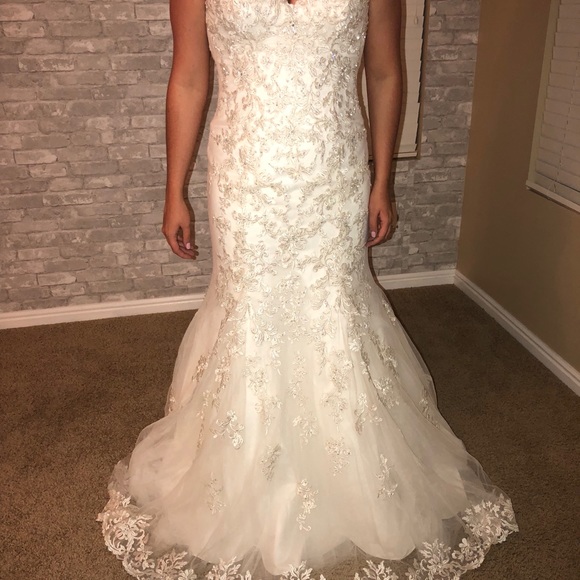 Wedding Dress - Picture 4 of 7